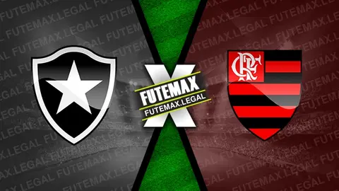 Assistir Botafogo x Flamengo ao vivo HD 18/08/2024 grátis