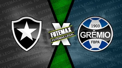 Assistir Botafogo x Grêmio ao vivo HD 28/09/2024