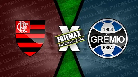 Assistir Flamengo x Grêmio ao vivo HD 13/06/2024