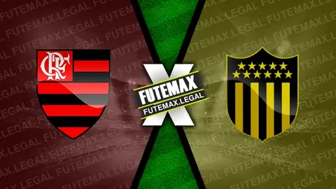 Assistir Flamengo x Peñarol ao vivo 19/09/2024 grátis