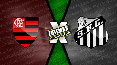 Assistir Flamengo x Santos ao vivo HD 29/04/2024