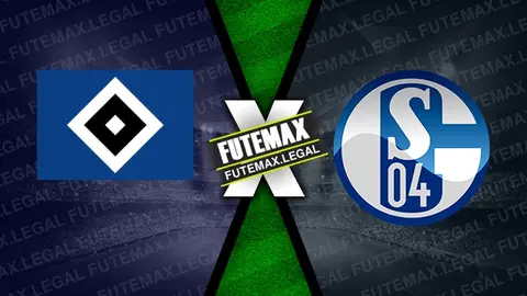 Assistir Hamburgo x Schalke 04 ao vivo online HD 23/11/2024