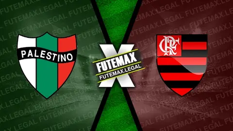 Assistir Palestino x Flamengo ao vivo HD 07/05/2024