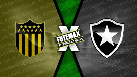 Assistir Peñarol x Botafogo ao vivo online HD 30/10/2024